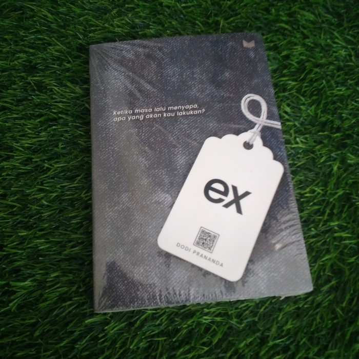 BUKU NOVEL EX