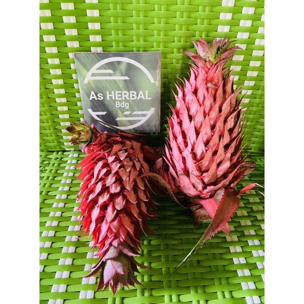 

Nanas Merah Asli Nanas Hutan Muda Segar Per 1 kg fresh petik langsung