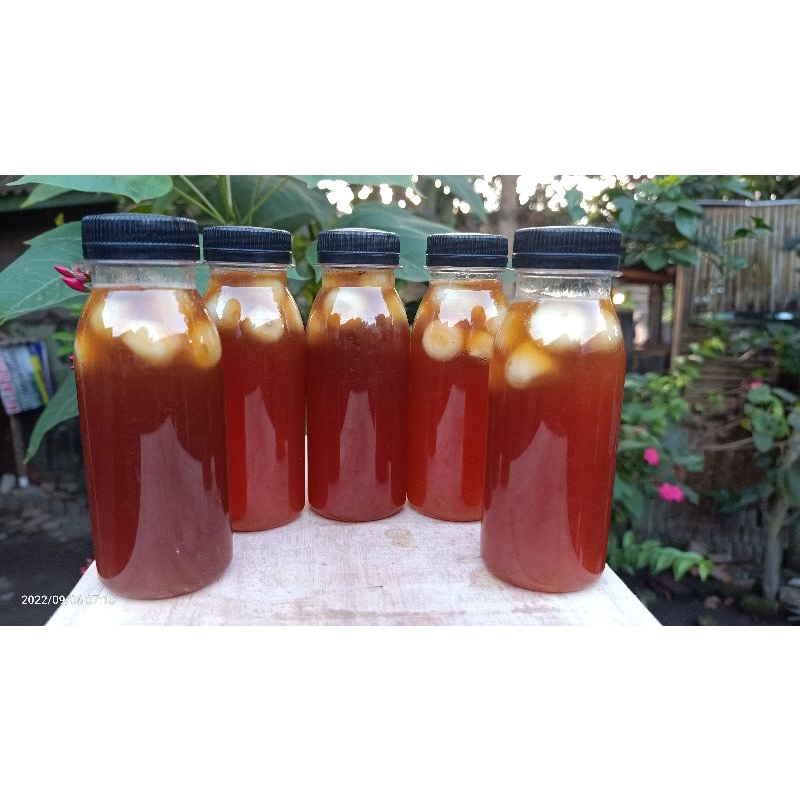 

Madu Trigona Bawang Lanang