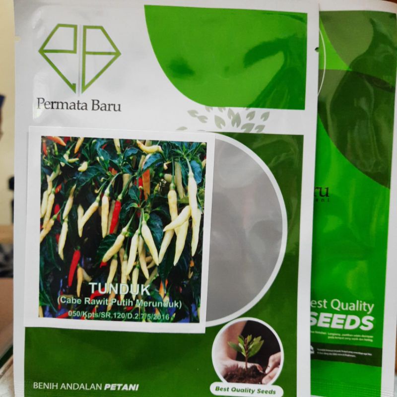Benih / Bibit Cabe Rawit TUNDUK Isi 10 Gram | Bibit Unggul | Bibit Cabai Rawit
