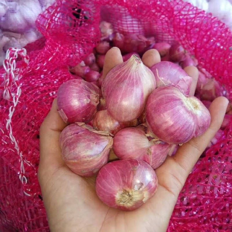 

bawang merah cantik kali 250gr