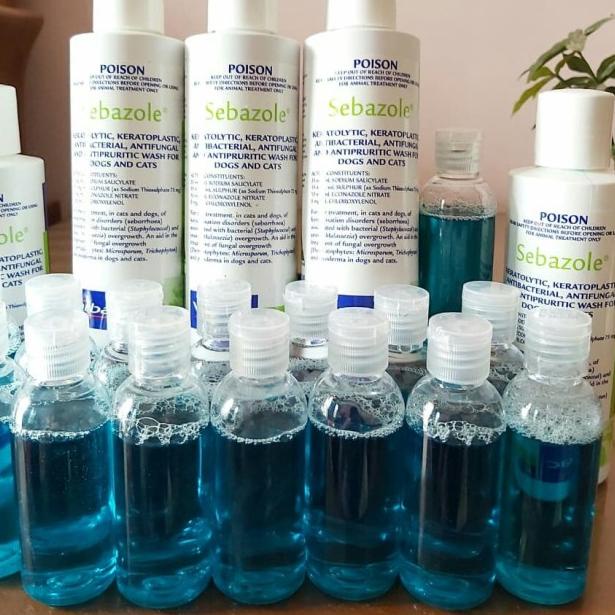 SEBAZOLE 250 ML SHAMPO KUCING ANJING SEBAZOLE SHAMPO R KUTU