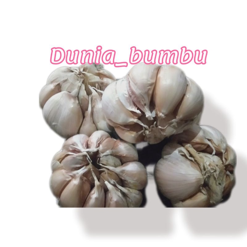 

bawang putih honan