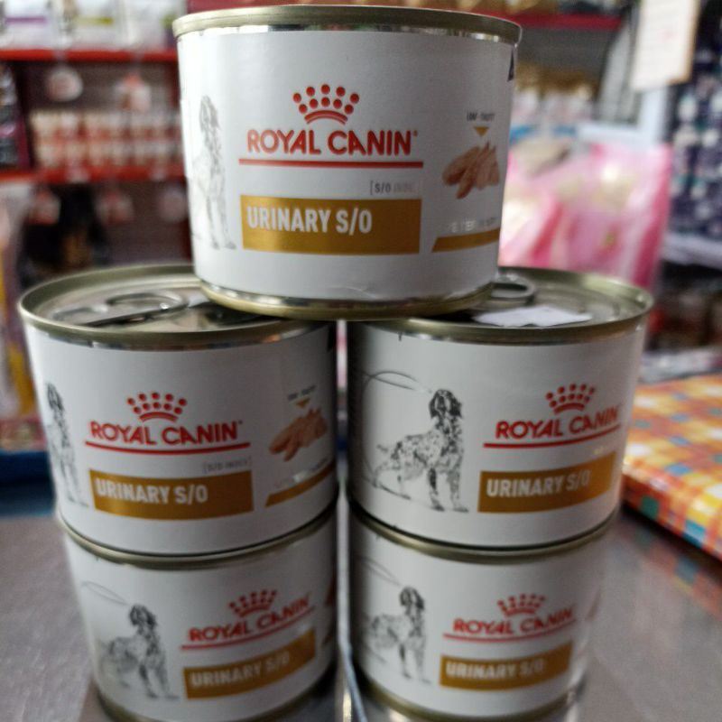Jual Royal Canin S/O 200gram Shopee Indonesia