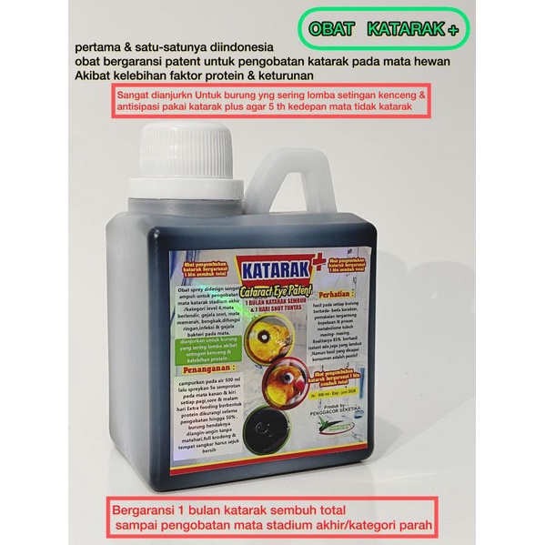 KATARAK EYE PATENT/OBAT MATA KATARAK UNTUK BURUNG TERAMPUH