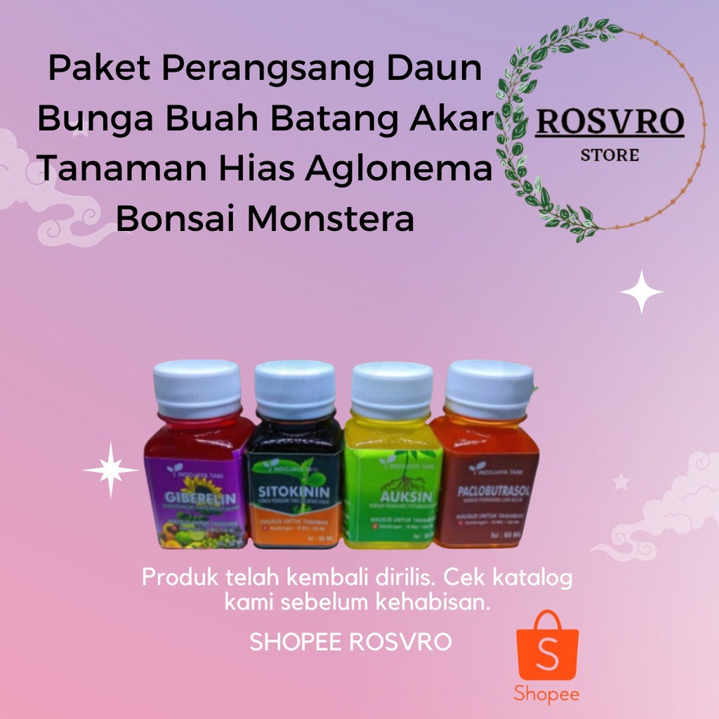 Paket Perangsang Daun Bunga Buah Batang Akar Tanaman Hias Aglonema Bonsai Monstera