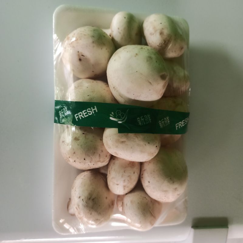 Jamur Champignon / Kancing Fresh