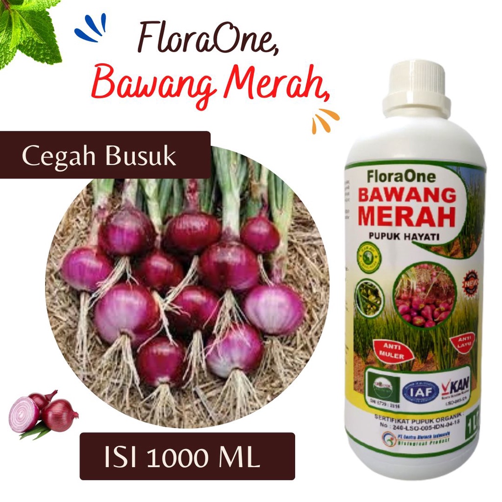 Pupuk Bawang Merah Hasil Melimpah, Obat Fungisida Untuk Bawang Merah, Pupuk Hayati Bawang