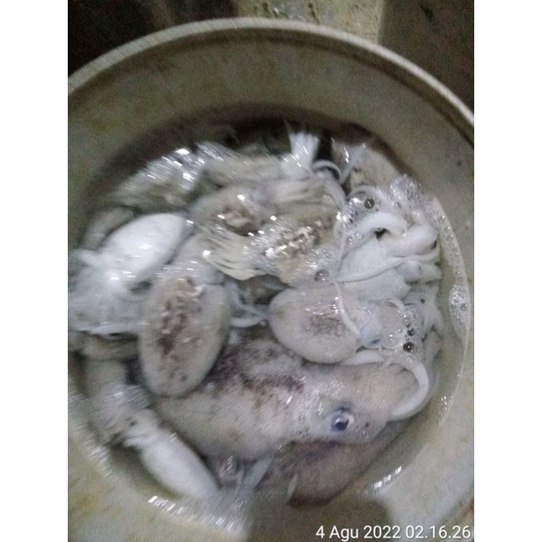 

ikan basah