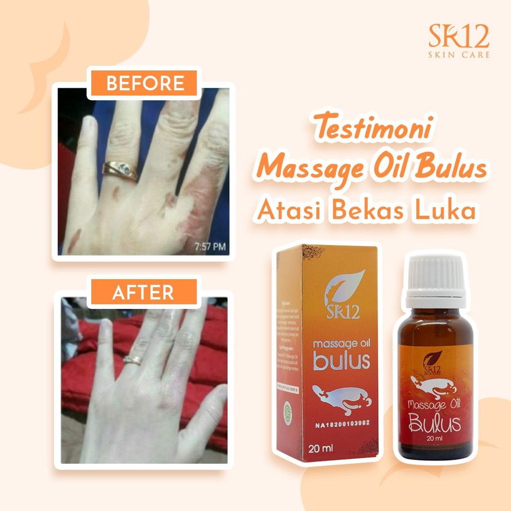 Massage Oil Bulus SR12 / Minyak Bulus SR12 / Minyak Bulus Original 100%