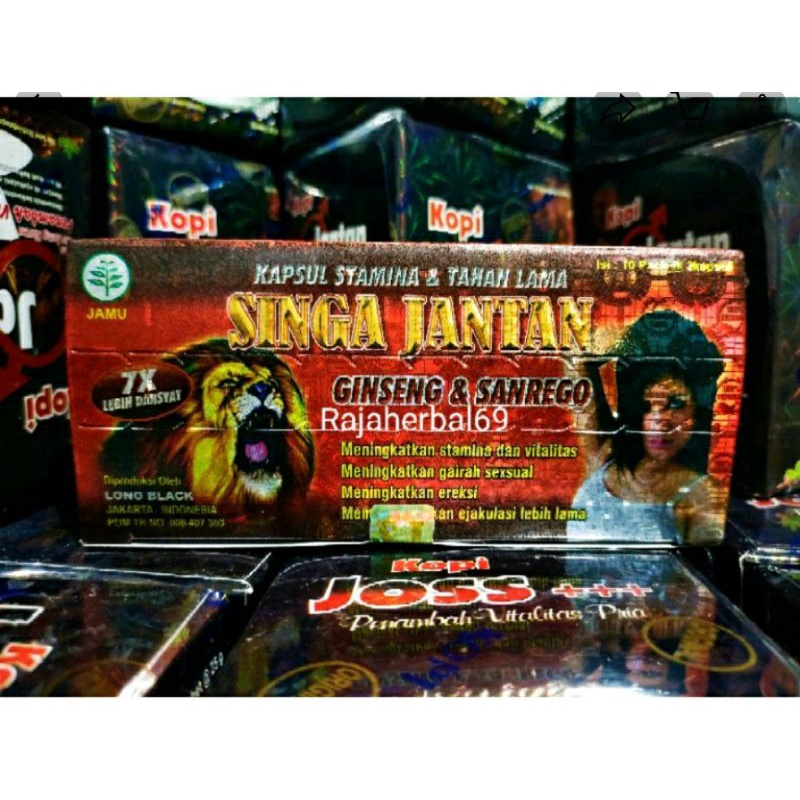 kapsul singa jantan