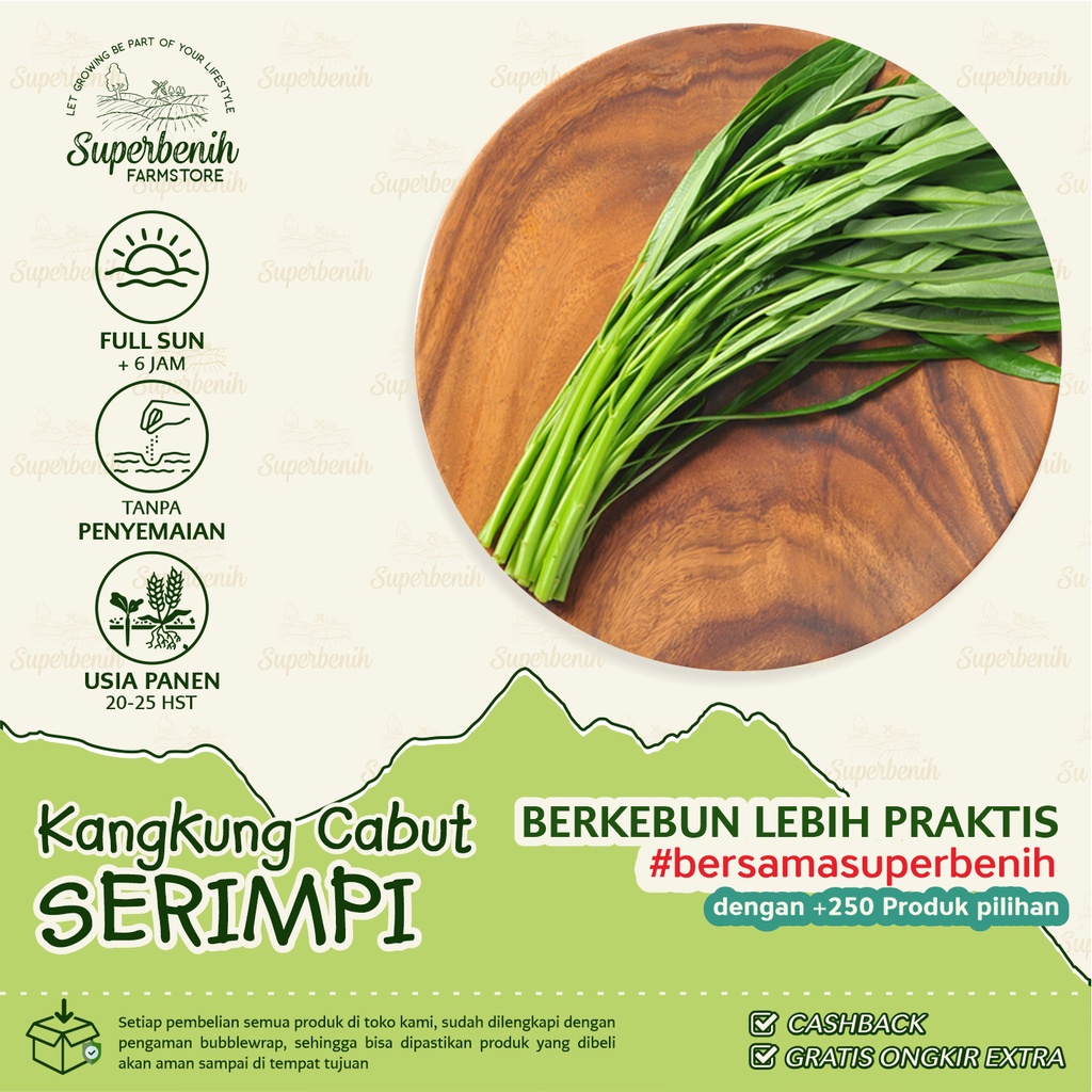 500 Biji - Benih Kangkung SERIMPI tipe daun sempit, tekstur lebih renyah