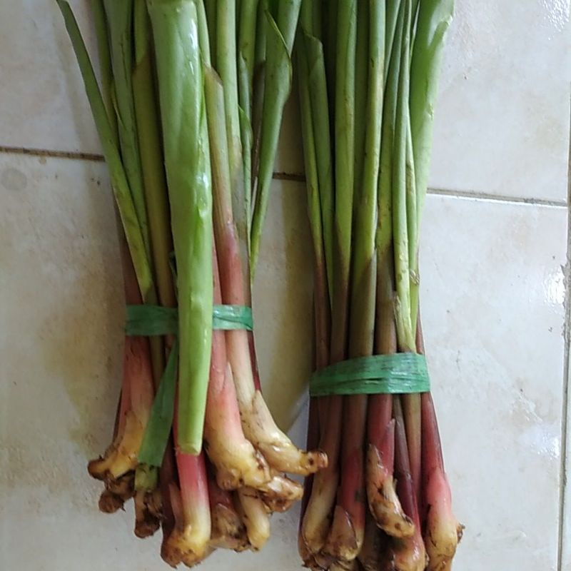 

Sayur Boros segar seikat
