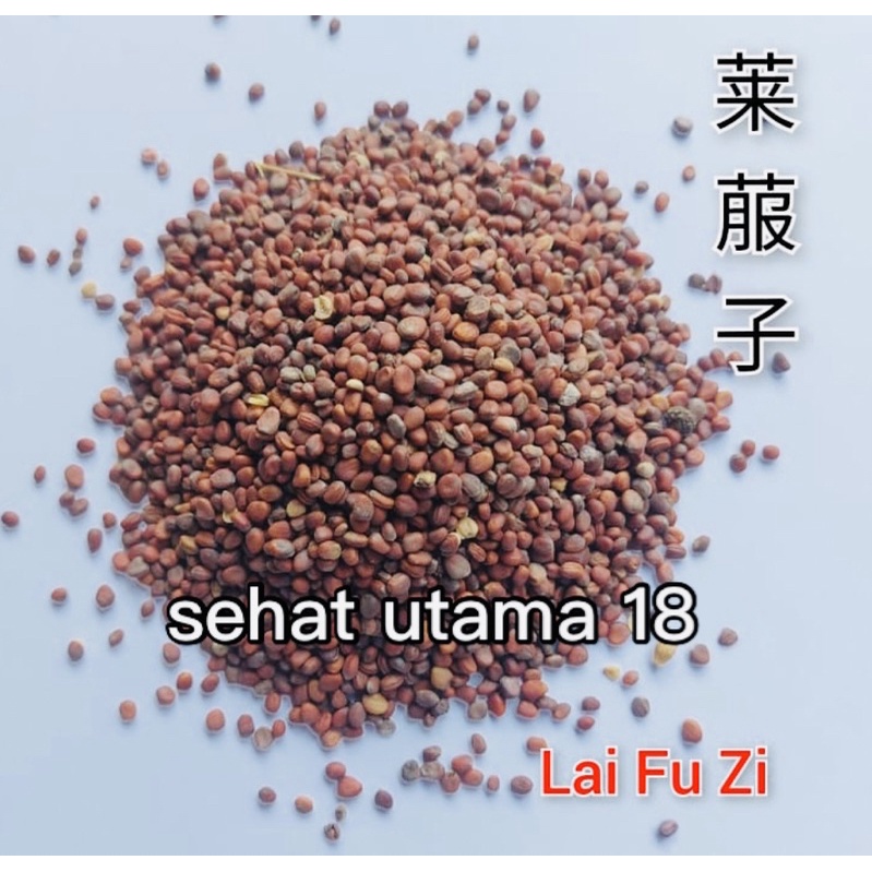 

(100gram) Lai Fu Zi / Radish Seed - [ 莱菔子 ] - Semen Raphani Sativi