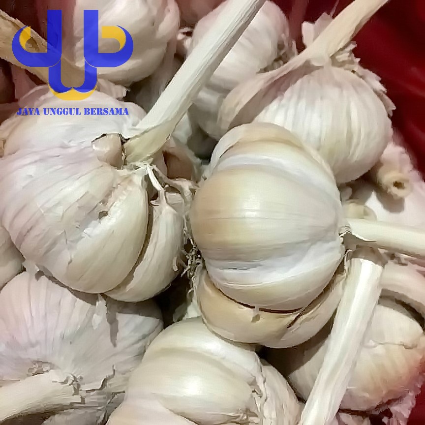 Bawang Putih Biasa Kotor/Bawang Putih Honan Kotor 1 KG