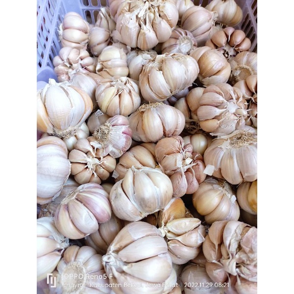 

bawang putih bersih 800g