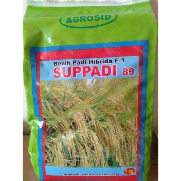 BENIH PADI HIBRIDA SUPADI 89| TAHAN PENYAKIT| TAHAN TANAH ASAM