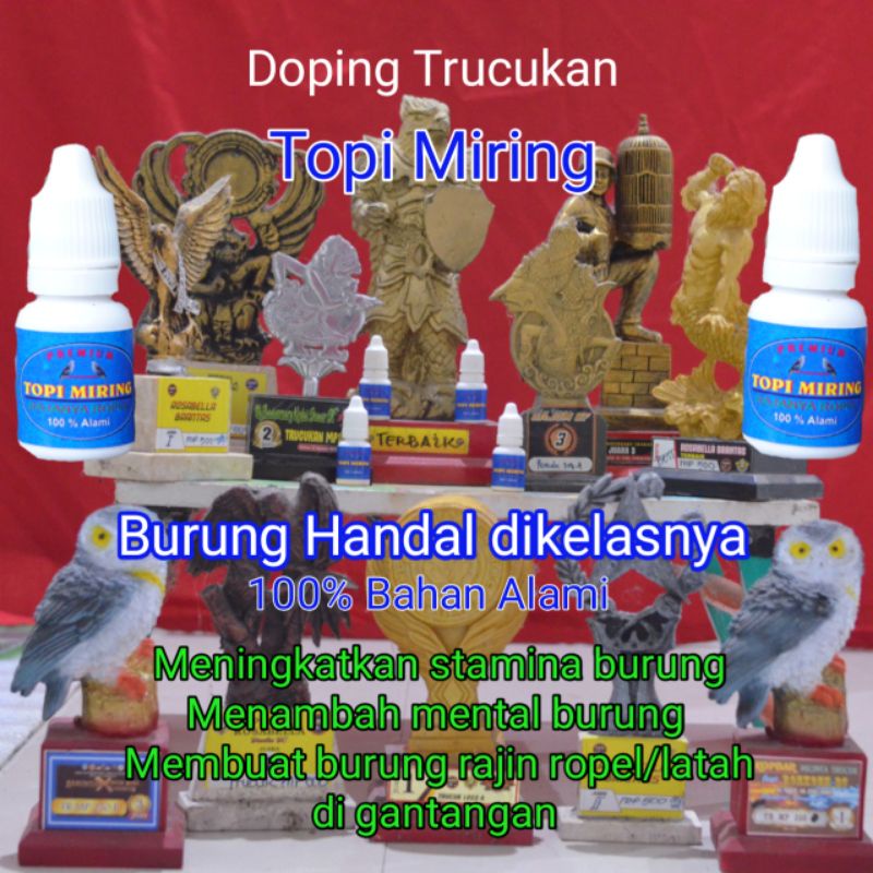 jamu burung Trucuk / multivitamin untuk lomba trucukan