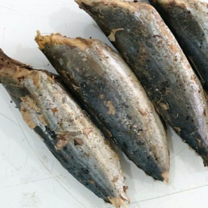 

Tongkol Pindang - Sayursegarinstan