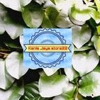 

Daun daun binahong segar per 1 kg