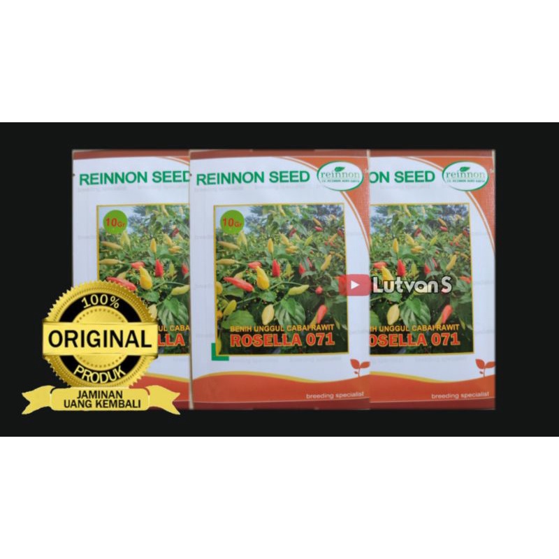 benih Cabe Rawit Unggul ROSELLA 071 10gr