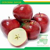 

Apel Red Dellicious 1 kg