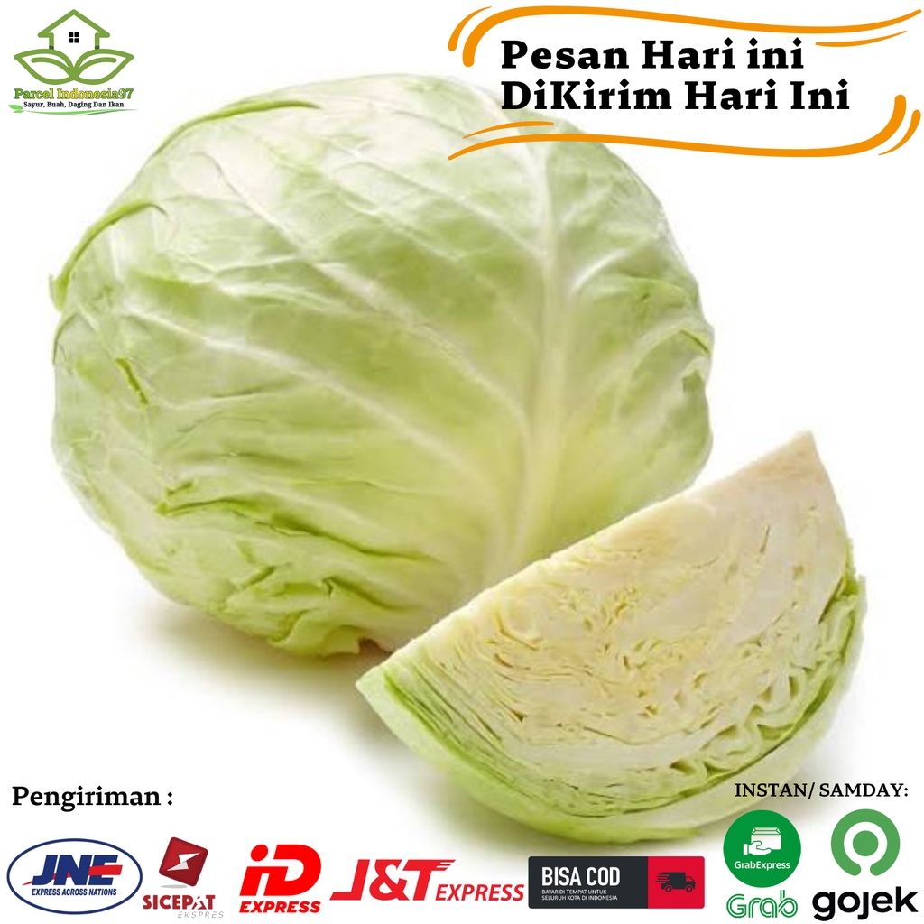

Kol putih 1kg sayuran segar pasar murah
