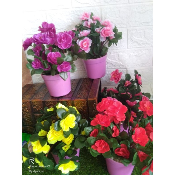 BUNGA BUGENVIL TUMPUK LENGKAP VAS
