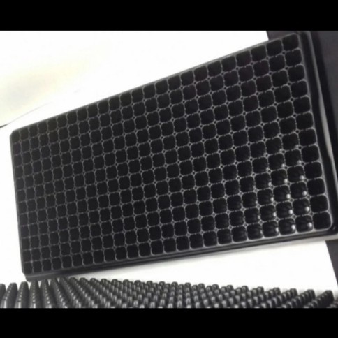 Tray seedling / Tray semai / Media tanam