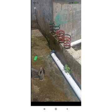 per keong brio sudah di potong