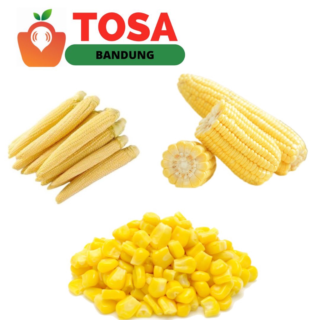 Jagung Manis/Jagung Manis pipil/Jagung Semi