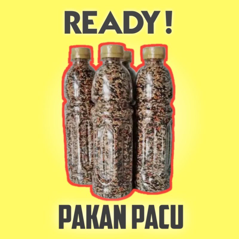Pakan Pacu kenari | Pakan jahat untuk kenari