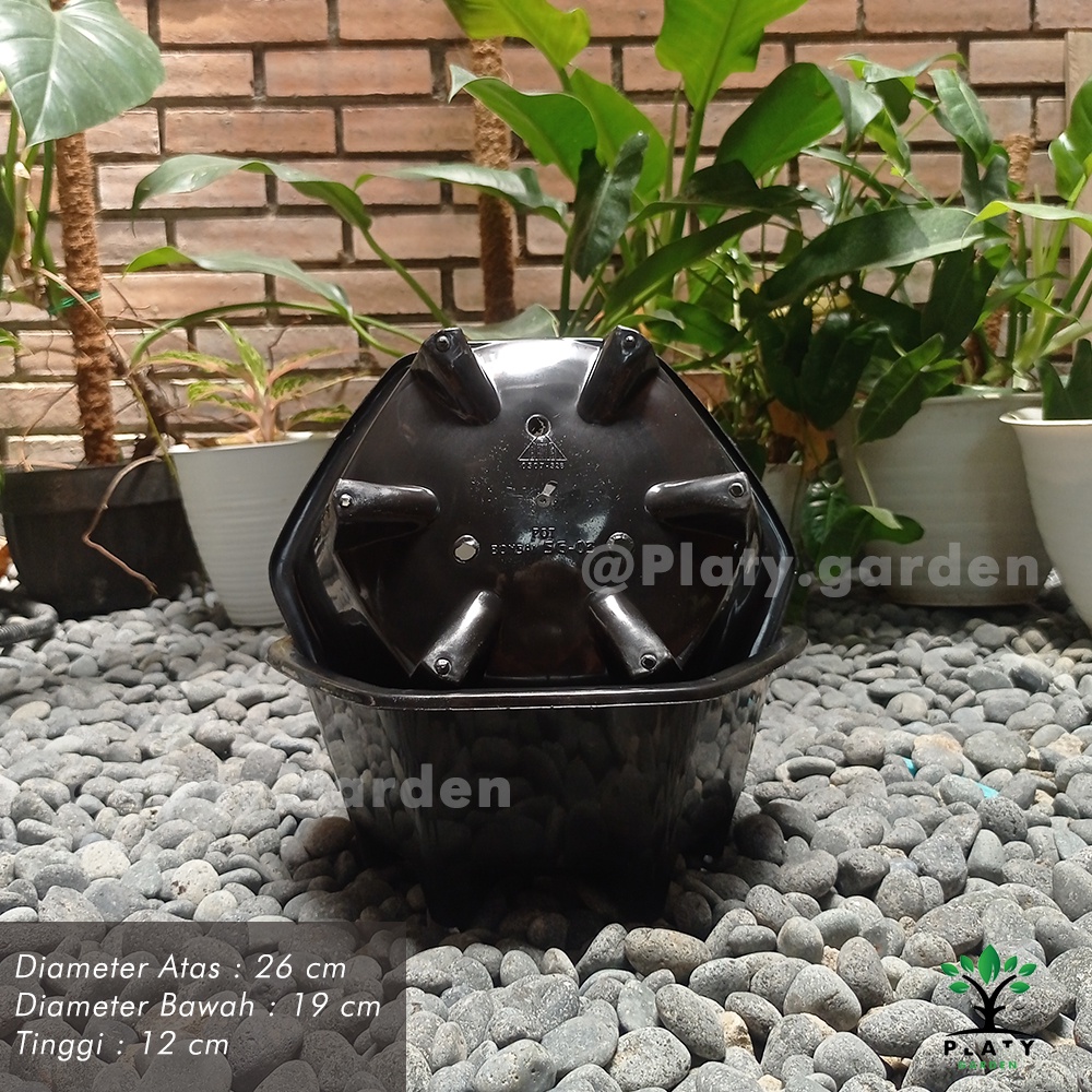 Pot Bonsai SG-03 | Pot Bonsai Ceper | Pot Tanaman Budi Jaya