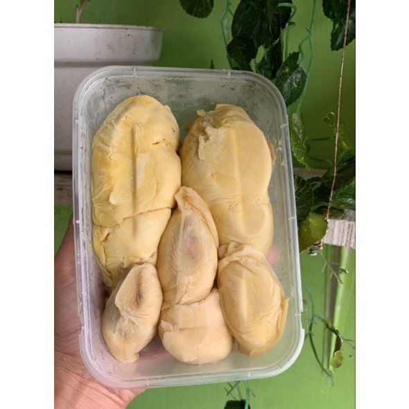 

DURIAN SIBOLGA KUPAS ASLI MEDAN MANIS LEGIT 500GRAM KEBUMEN