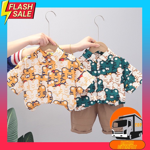 Baju Anak Korea Umur 1 2 3 4 5 Tahun Tk Set Stelan Setelan Laki Cowok Pria Murah Import Cowo Usia Ld