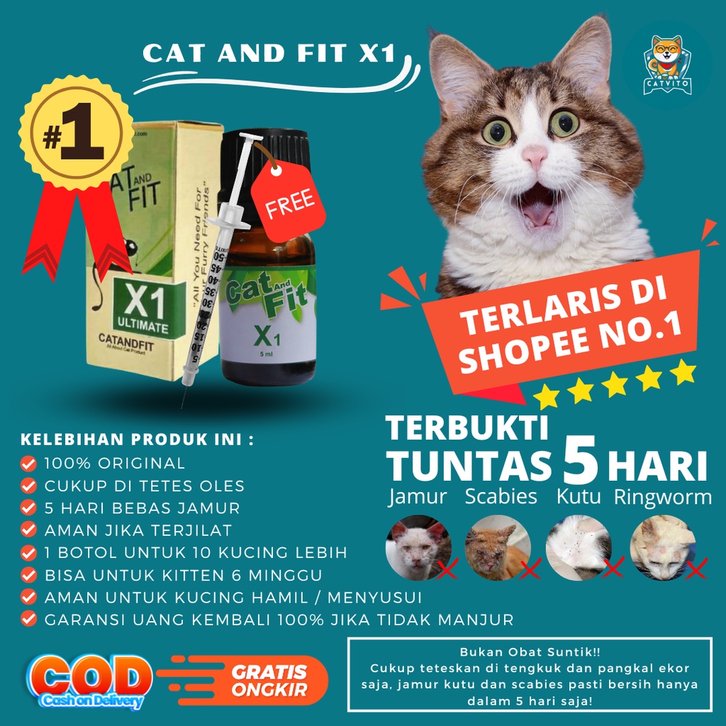 OBAT JAMUR KUTU KUCING DAN SCABIES KUCING CAT AND FIT X1 ULTIMATE