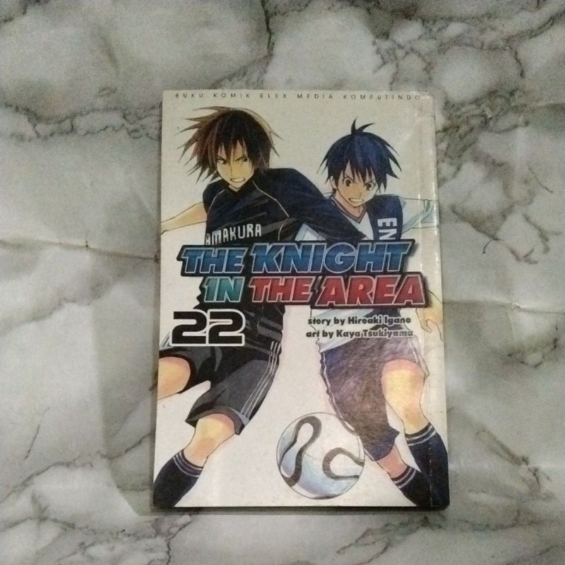 komik THE KNIGHT IN THE AREA