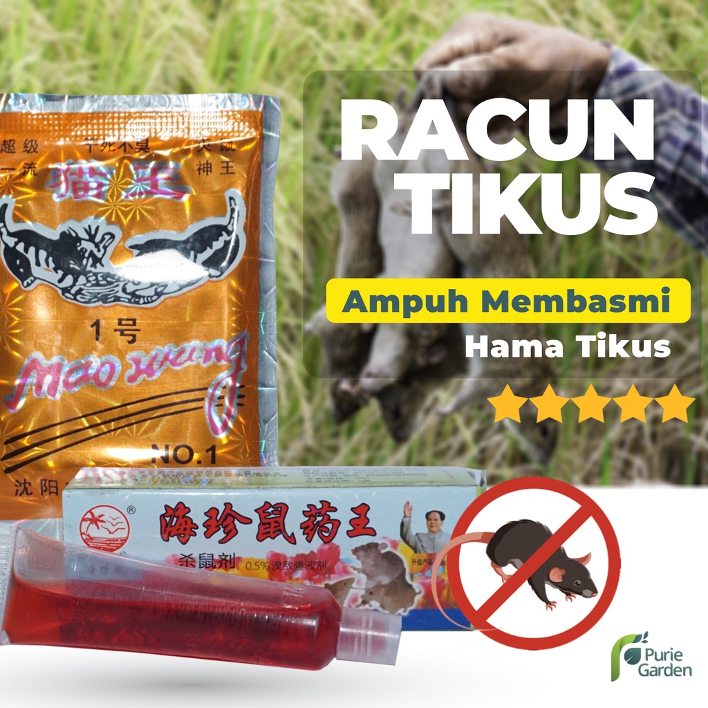 Racun Tikus Obat Pembasmi Hama Tikus