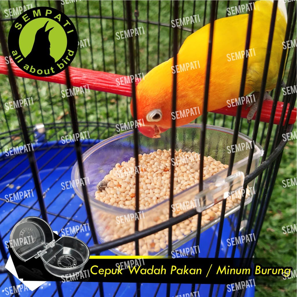 CEPUK 4 MODEL MEREK SEMPATI CEPUK WADAH TEMPAT PAKAN MINUM BURUNG HAMSTER SUGAR GLIDER GECKO