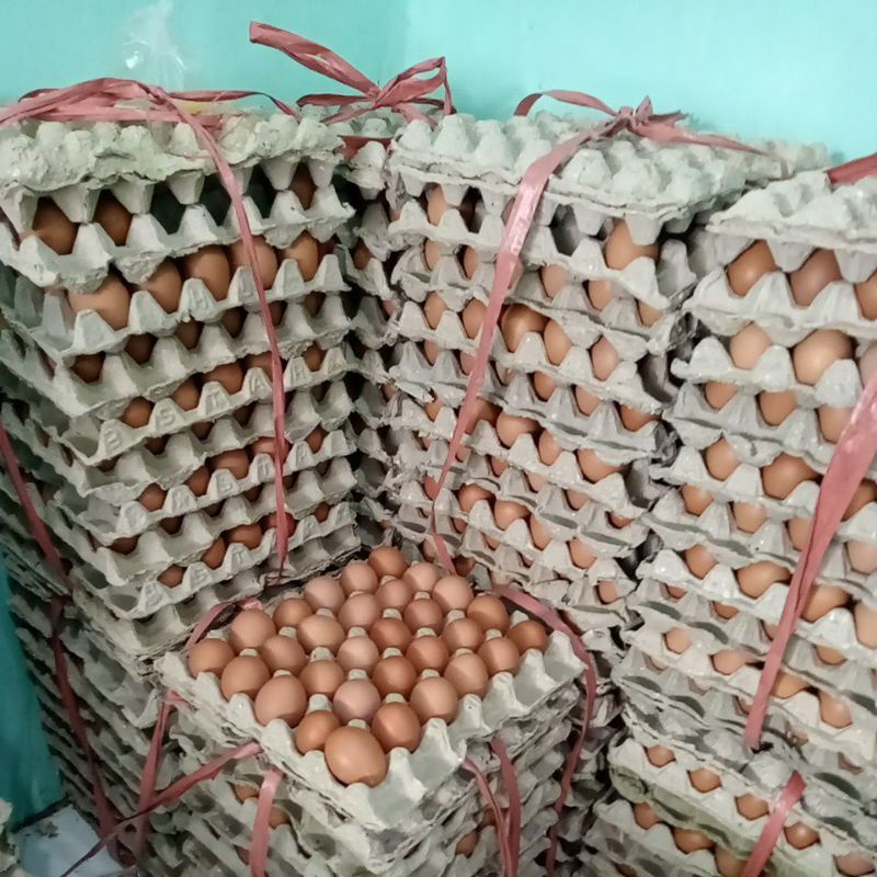 

telor ayam negeri