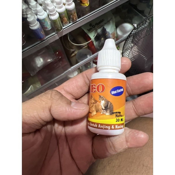 obat cacing kucing dan anjing kecil