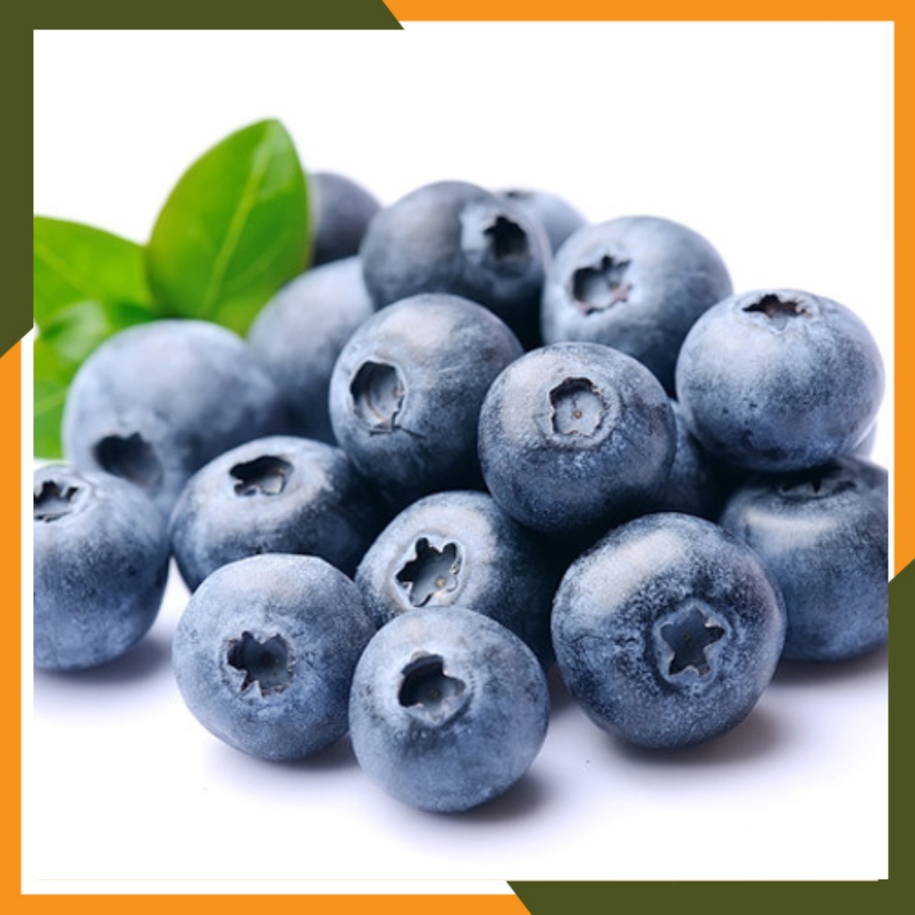 Benih Buah Blueberry Seribuan
