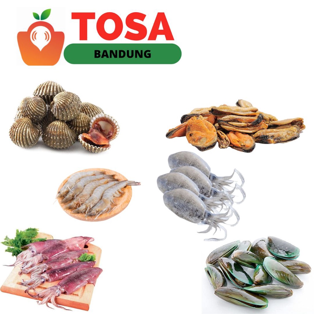 Udang/Cumi/Kerang Hijau/Remis/Kerang Dara/Balakutak/kerang tiram/kerang bambu