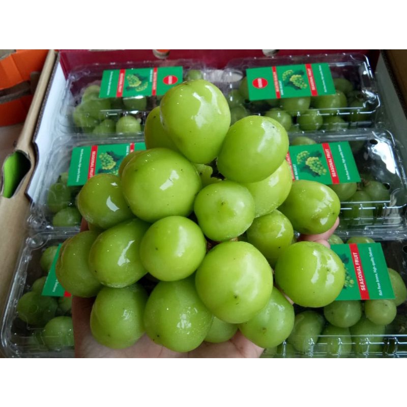 anggur shine muscat hijau Manis box +- 450gr