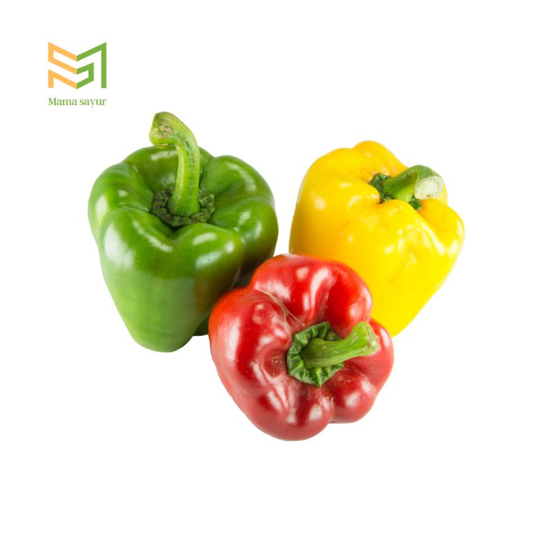 

Paprika segar per pack