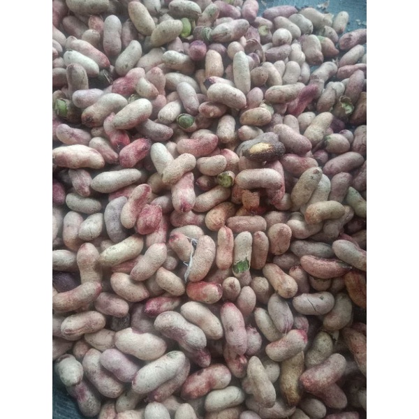 

1000gram biji juwet kering