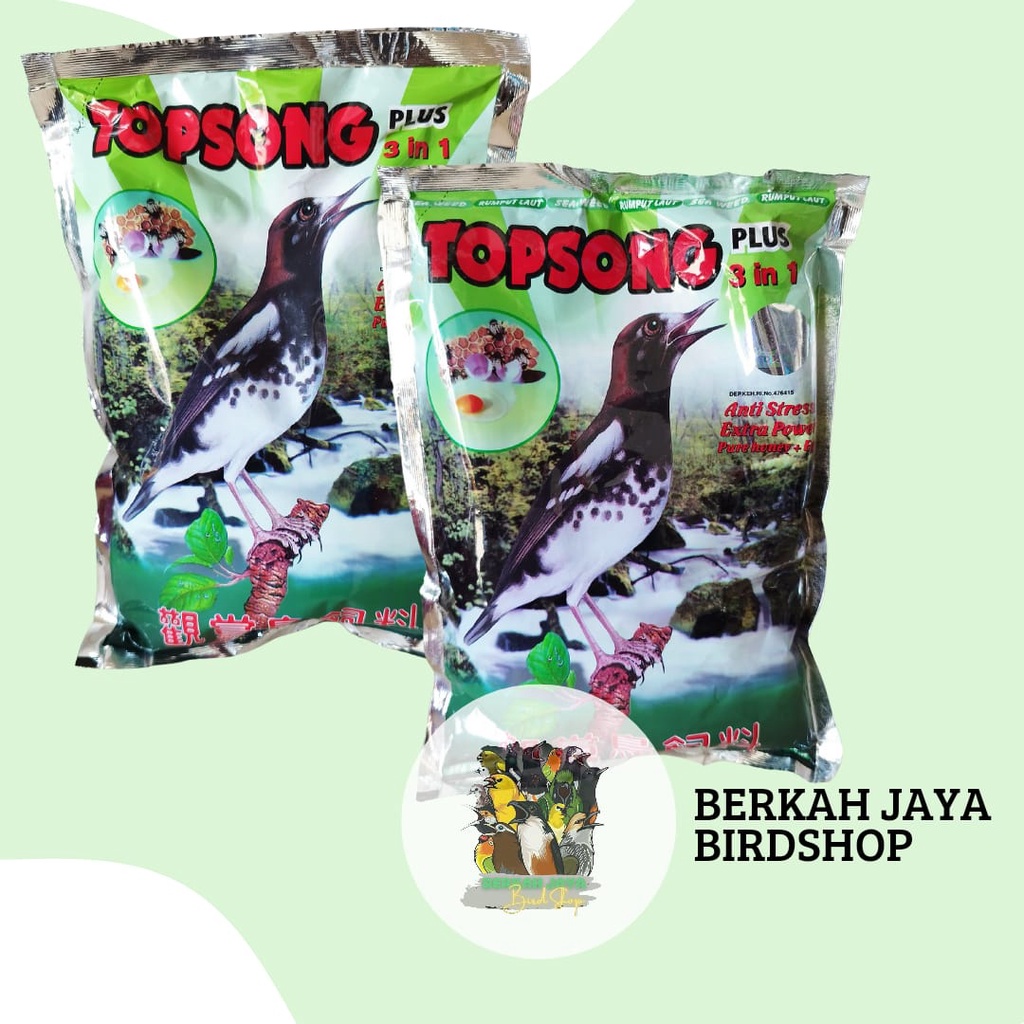 PAKAN BURUNG MURAI KACER JALAK BEO POKSAY | TOP SONG COKLAT HIJAU