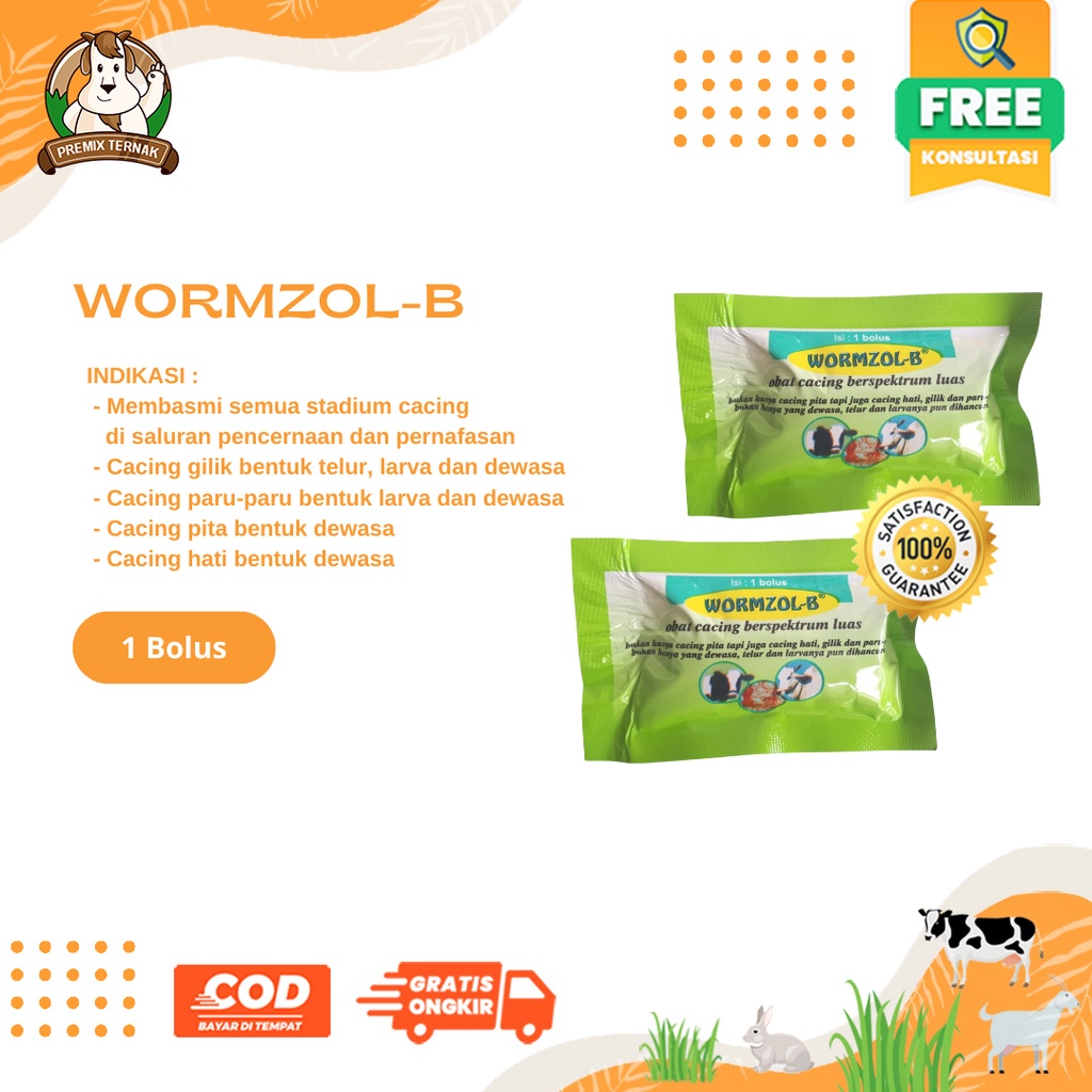 WORMZOL B 1 BOLUS SACHET - Obat Cacing Cacingan Sapi Kerbau Kuda Kurus