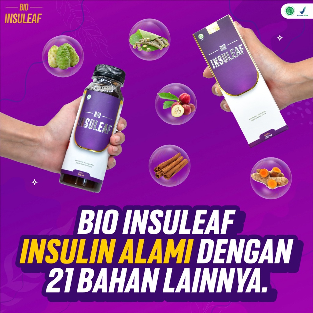 Paket 3 Bio Insuleaf - Solusi Kencing Manis Gula Darah Tinggi Diabetes Melitus Cegah Gagal Ginjal Kurangi kadar Glukosa Atasi Kolesterol Kerusakan Jantung Hati Ekstak Mengkudu Brotowali  Mahkota Dewa Kunyit Obat Jamu Tropicana Omepross Fishqua Kacamata