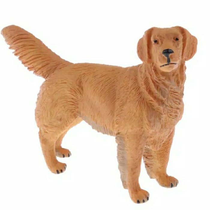 Miniatur Anjing Golden Retriever